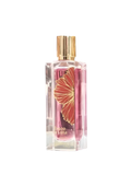 Paris Corner Ibisco Nirvana EDP 65 ml